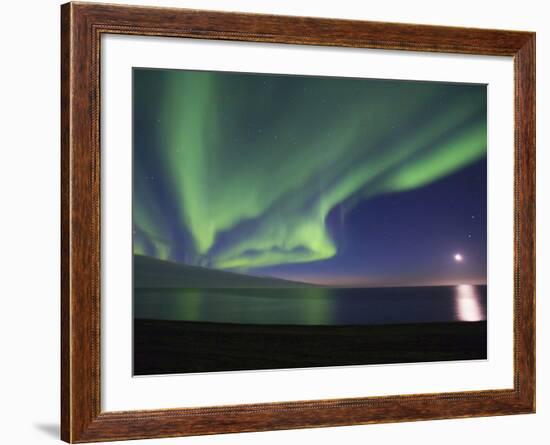 Aurora Borealis, Arctic National Wildlife Refuge, Alaska, USA-Hugh Rose-Framed Photographic Print