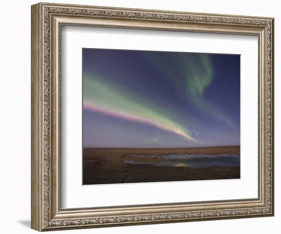 Aurora Borealis, Arctic National Wildlife Refuge, Alaska, USA-Hugh Rose-Framed Photographic Print