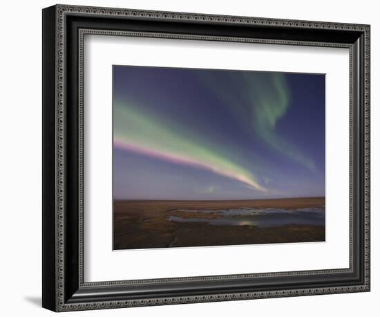 Aurora Borealis, Arctic National Wildlife Refuge, Alaska, USA-Hugh Rose-Framed Photographic Print