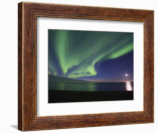 Aurora Borealis, Arctic National Wildlife Refuge, Alaska, USA-Hugh Rose-Framed Photographic Print