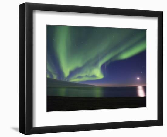 Aurora Borealis, Arctic National Wildlife Refuge, Alaska, USA-Hugh Rose-Framed Photographic Print