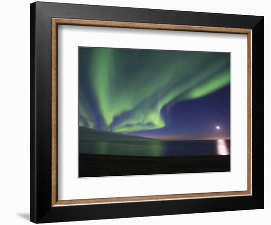 Aurora Borealis, Arctic National Wildlife Refuge, Alaska, USA-Hugh Rose-Framed Photographic Print