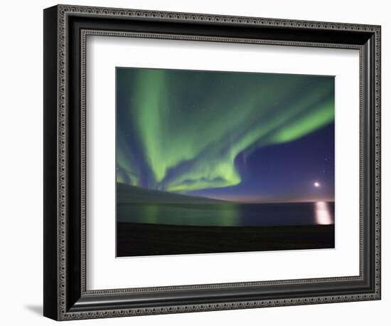 Aurora Borealis, Arctic National Wildlife Refuge, Alaska, USA-Hugh Rose-Framed Photographic Print