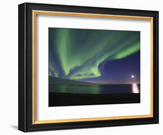 Aurora Borealis, Arctic National Wildlife Refuge, Alaska, USA-Hugh Rose-Framed Photographic Print