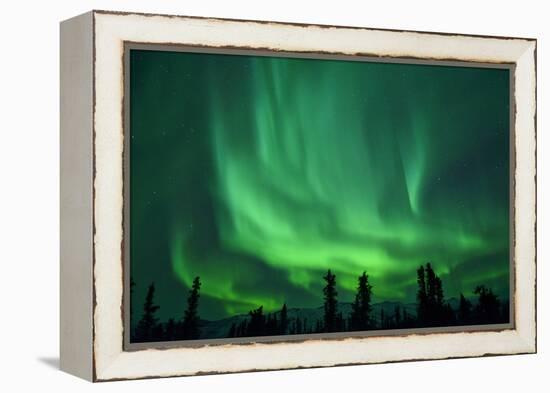 Aurora Borealis at Chena Hot Springs, Fairbanks, Alaska, Usa-Christian Heeb-Framed Premier Image Canvas