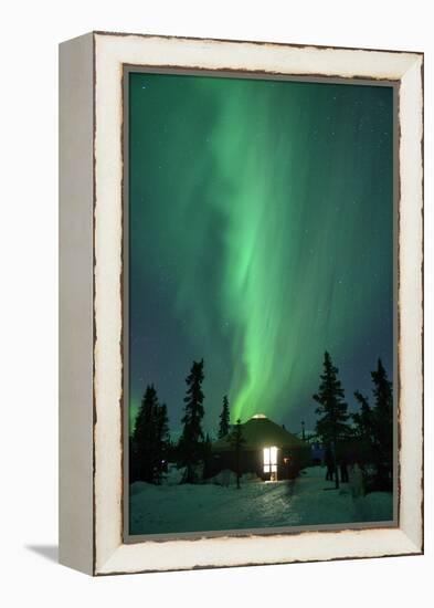 Aurora Borealis at Chena Hot Springs, Fairbanks, Alaska, Usa-Christian Heeb-Framed Premier Image Canvas