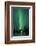 Aurora Borealis at Chena Hot Springs, Fairbanks, Alaska, Usa-Christian Heeb-Framed Photographic Print