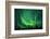 Aurora Borealis at Chena Hot Springs, Fairbanks, Alaska, Usa-Christian Heeb-Framed Photographic Print