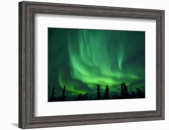 Aurora Borealis at Chena Hot Springs, Fairbanks, Alaska, Usa-Christian Heeb-Framed Photographic Print