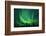 Aurora Borealis at Chena Hot Springs, Fairbanks, Alaska, Usa-Christian Heeb-Framed Photographic Print