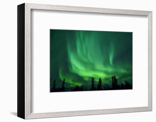 Aurora Borealis at Chena Hot Springs, Fairbanks, Alaska, Usa-Christian Heeb-Framed Photographic Print