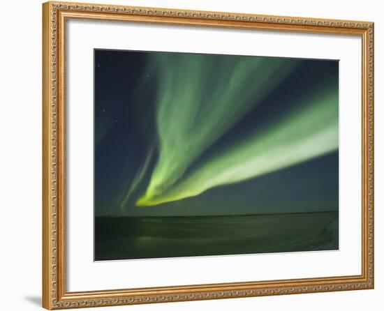 Aurora Borealis, Beaufort Sea, Alaska, USA-Hugh Rose-Framed Photographic Print