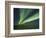 Aurora Borealis, Beaufort Sea, Alaska, USA-Hugh Rose-Framed Photographic Print