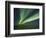 Aurora Borealis, Beaufort Sea, Alaska, USA-Hugh Rose-Framed Photographic Print