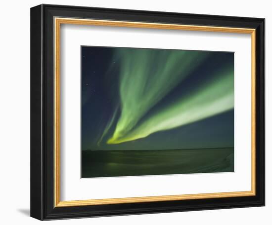 Aurora Borealis, Beaufort Sea, Alaska, USA-Hugh Rose-Framed Photographic Print