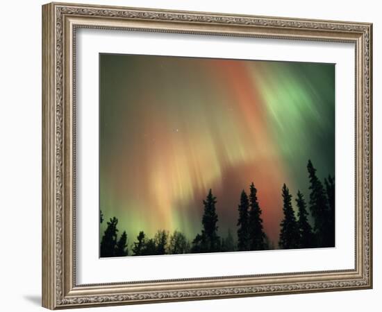 Aurora Borealis, Fairbanks Area, Alaska, USA-Kevin Schafer-Framed Photographic Print