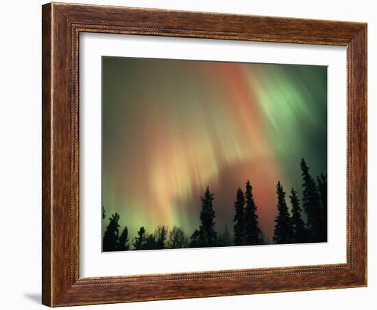 Aurora Borealis, Fairbanks Area, Alaska, USA-Kevin Schafer-Framed Photographic Print