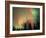 Aurora Borealis, Fairbanks Area, Alaska, USA-Kevin Schafer-Framed Photographic Print