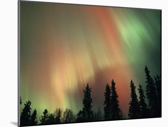 Aurora Borealis, Fairbanks Area, Alaska, USA-Kevin Schafer-Mounted Photographic Print