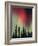 Aurora Borealis, Fairbanks Area, Alaska, USA-Kevin Schafer-Framed Photographic Print