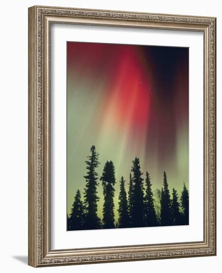 Aurora Borealis, Fairbanks Area, Alaska, USA-Kevin Schafer-Framed Photographic Print