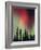 Aurora Borealis, Fairbanks Area, Alaska, USA-Kevin Schafer-Framed Photographic Print