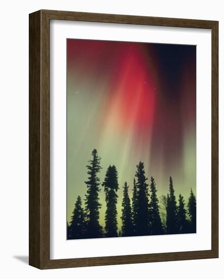 Aurora Borealis, Fairbanks Area, Alaska, USA-Kevin Schafer-Framed Photographic Print