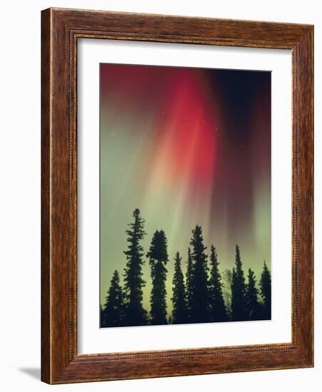 Aurora Borealis, Fairbanks Area, Alaska, USA-Kevin Schafer-Framed Photographic Print