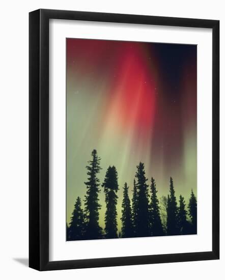 Aurora Borealis, Fairbanks Area, Alaska, USA-Kevin Schafer-Framed Photographic Print