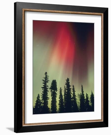 Aurora Borealis, Fairbanks Area, Alaska, USA-Kevin Schafer-Framed Photographic Print