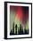 Aurora Borealis, Fairbanks Area, Alaska, USA-Kevin Schafer-Framed Photographic Print