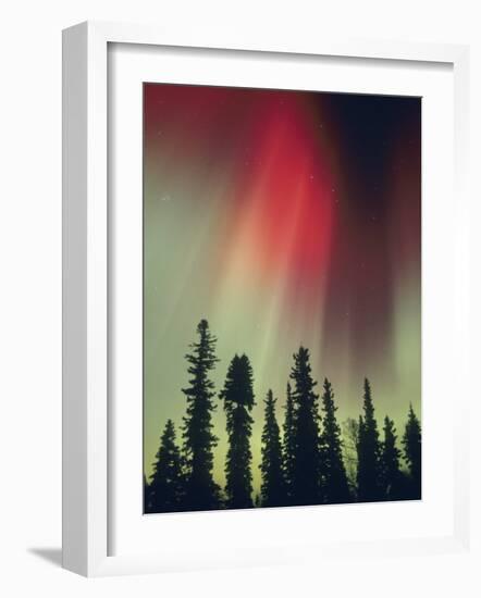 Aurora Borealis, Fairbanks Area, Alaska, USA-Kevin Schafer-Framed Photographic Print