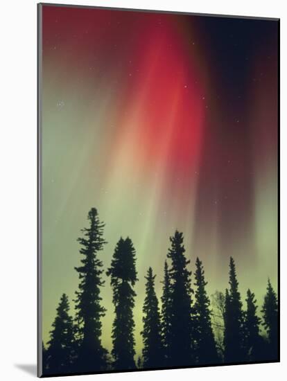 Aurora Borealis, Fairbanks Area, Alaska, USA-Kevin Schafer-Mounted Photographic Print