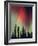 Aurora Borealis, Fairbanks Area, Alaska, USA-Kevin Schafer-Framed Photographic Print