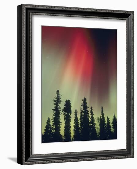 Aurora Borealis, Fairbanks Area, Alaska, USA-Kevin Schafer-Framed Photographic Print