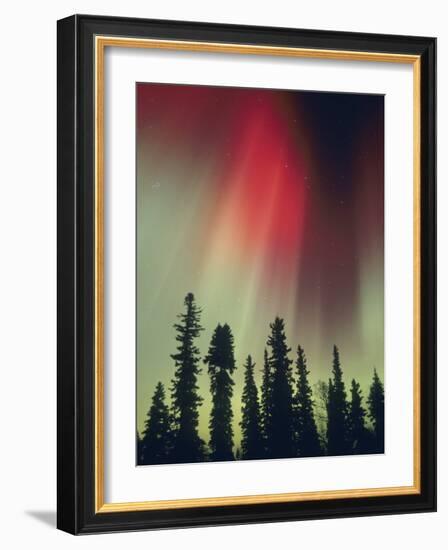 Aurora Borealis, Fairbanks Area, Alaska, USA-Kevin Schafer-Framed Photographic Print