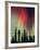 Aurora Borealis, Fairbanks Area, Alaska, USA-Kevin Schafer-Framed Photographic Print