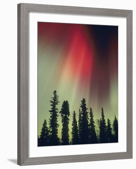 Aurora Borealis, Fairbanks Area, Alaska, USA-Kevin Schafer-Framed Photographic Print