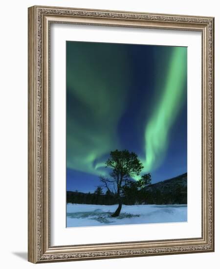 Aurora Borealis, Forramarka, Troms, Norway-Stocktrek Images-Framed Photographic Print