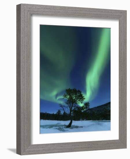 Aurora Borealis, Forramarka, Troms, Norway-Stocktrek Images-Framed Photographic Print