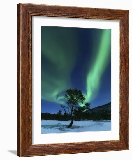 Aurora Borealis, Forramarka, Troms, Norway-Stocktrek Images-Framed Photographic Print