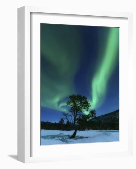 Aurora Borealis, Forramarka, Troms, Norway-Stocktrek Images-Framed Photographic Print