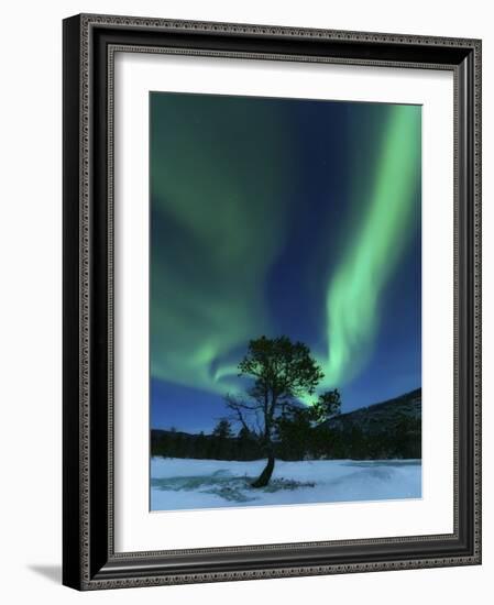 Aurora Borealis, Forramarka, Troms, Norway-Stocktrek Images-Framed Photographic Print