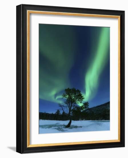 Aurora Borealis, Forramarka, Troms, Norway-Stocktrek Images-Framed Photographic Print