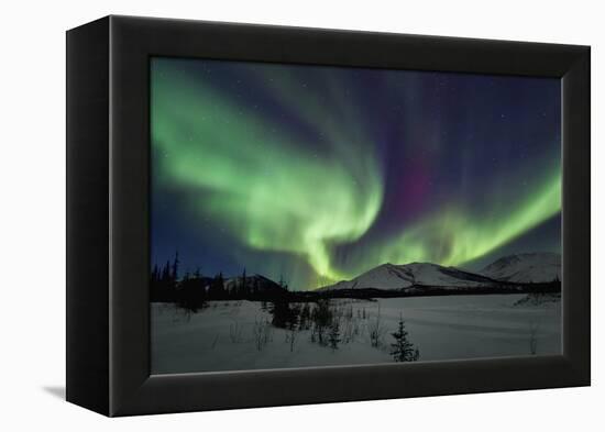 Aurora Borealis I-Larry Malvin-Framed Premier Image Canvas