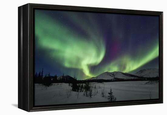 Aurora Borealis I-Larry Malvin-Framed Premier Image Canvas