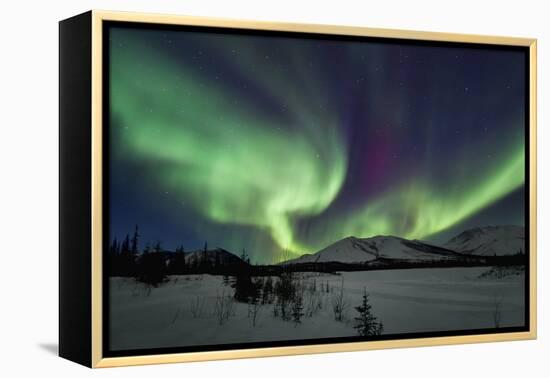 Aurora Borealis I-Larry Malvin-Framed Premier Image Canvas