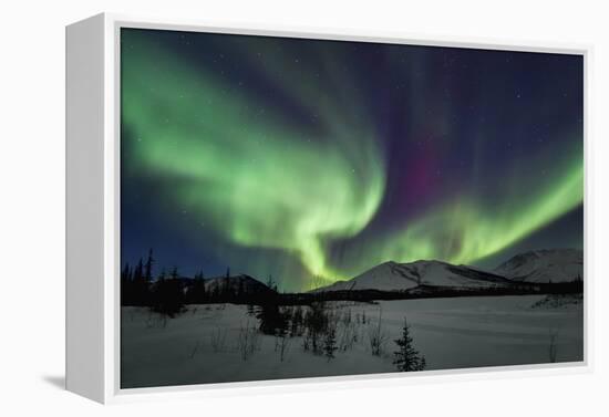 Aurora Borealis I-Larry Malvin-Framed Premier Image Canvas