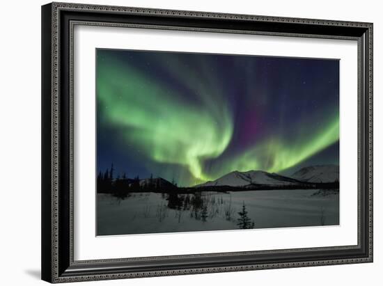 Aurora Borealis I-Larry Malvin-Framed Photographic Print