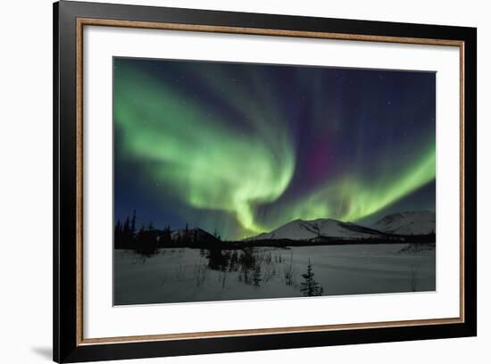 Aurora Borealis I-Larry Malvin-Framed Photographic Print